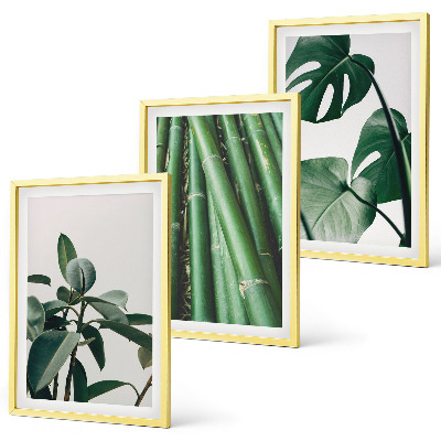 Composizione di quadri Steli di bambù e foglie di monstera