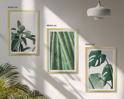 Composizione di quadri Steli di bambù e foglie di monstera