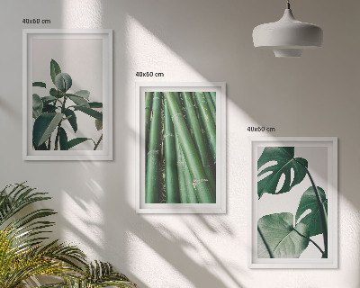 Composizione di quadri Steli di bambù e foglie di monstera