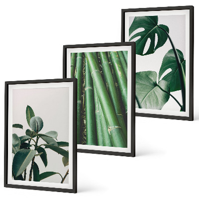 Composizione di quadri Steli di bambù e foglie di monstera