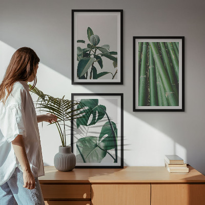 Composizione di quadri Steli di bambù e foglie di monstera