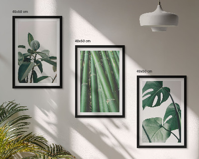 Composizione di quadri Steli di bambù e foglie di monstera