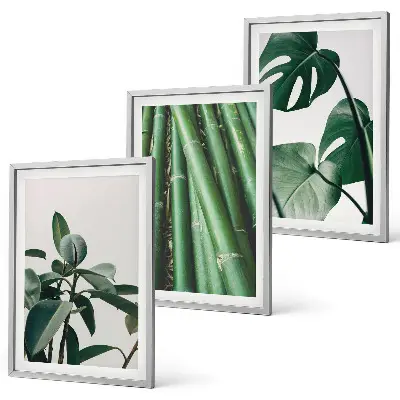 Composizione di quadri con steli di bambù e foglie di monstera