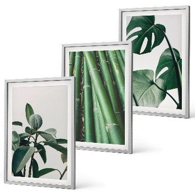 Composizione di quadri Steli di bambù e foglie di monstera