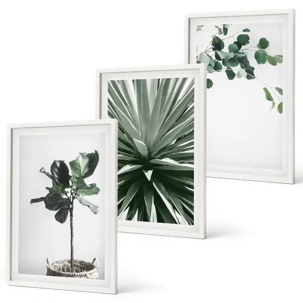 Composizione di quadri con piante verdi in stile minimalista