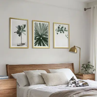 Composizione di quadri con piante verdi in stile minimalista