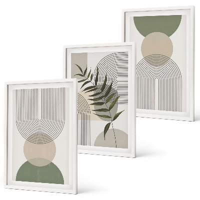 Set di 3 quadri Forme astratte con vegetazione