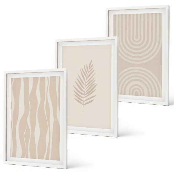Set di 3 quadri motivi vegetali beige