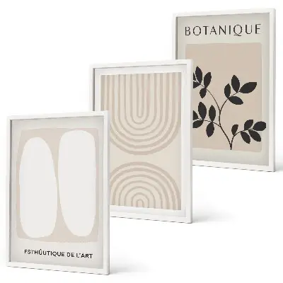 Composizione di quadri con poster di piante delicate in stile boho