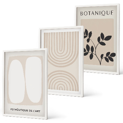 Composizione di quadri Poster di piante delicate in stile boho