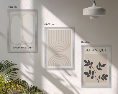 Composizione di quadri Poster di piante delicate in stile boho
