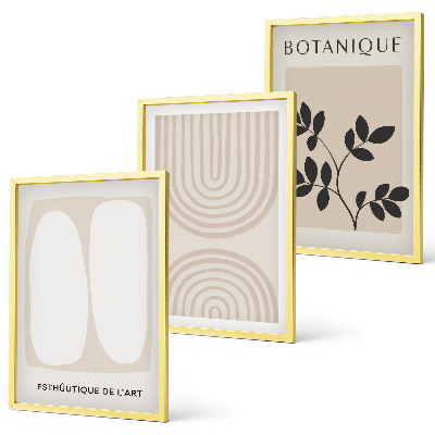 Composizione di quadri Poster di piante delicate in stile boho