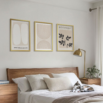Composizione di quadri Poster di piante delicate in stile boho