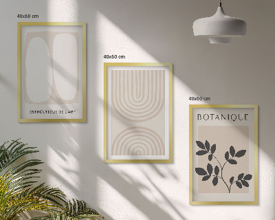 Composizione di quadri Poster di piante delicate in stile boho
