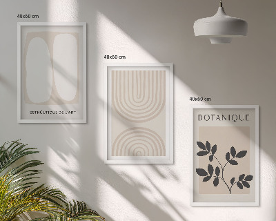 Composizione di quadri Poster di piante delicate in stile boho