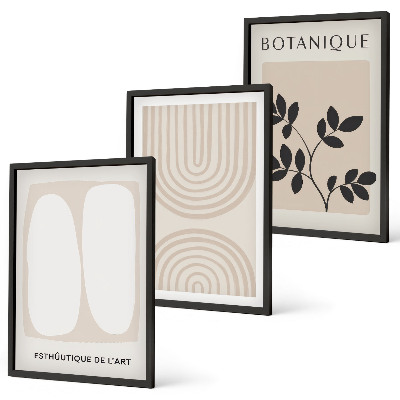 Composizione di quadri Poster di piante delicate in stile boho