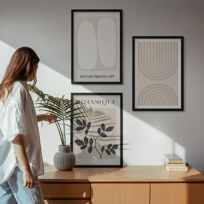 Composizione di quadri Poster di piante delicate in stile boho