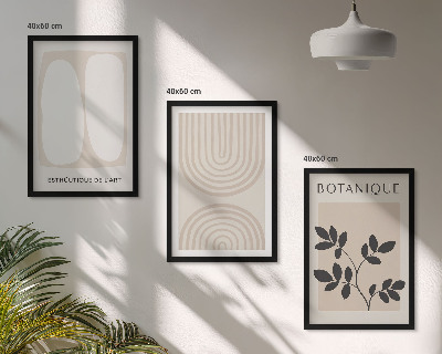 Composizione di quadri Poster di piante delicate in stile boho