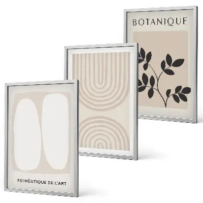 Composizione di quadri con poster di piante delicate in stile boho