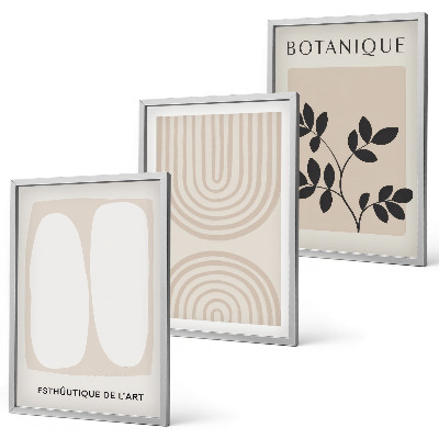 Composizione di quadri Poster di piante delicate in stile boho