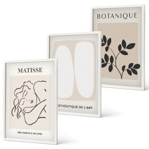 Set di 3 quadri I dipinti di piante eleganti di Matisse