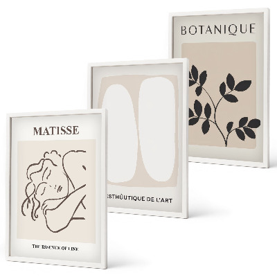 Set di 3 quadri I dipinti di piante eleganti di Matisse