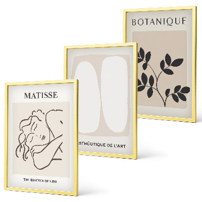 Set di 3 quadri I dipinti di piante eleganti di Matisse