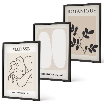 Set di 3 quadri I dipinti di piante eleganti di Matisse