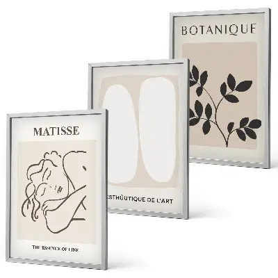 Set di 3 quadri con stampe di piante in stile Matisse