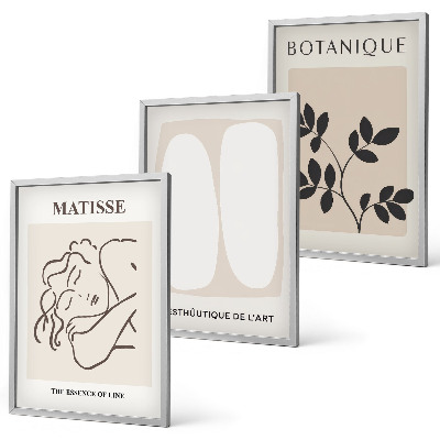 Set di 3 quadri I dipinti di piante eleganti di Matisse