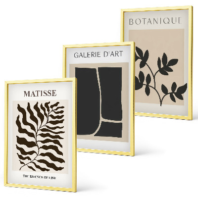 Composizione di quadri Poster minimalisti di piante