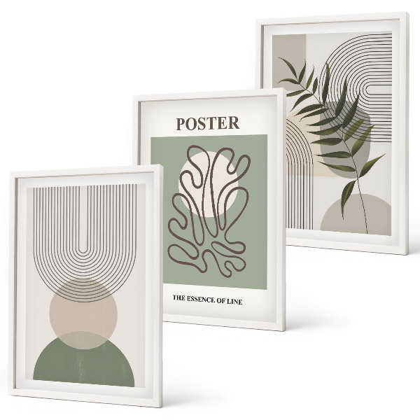 Set di 3 quadri Motivi botanici geometrici