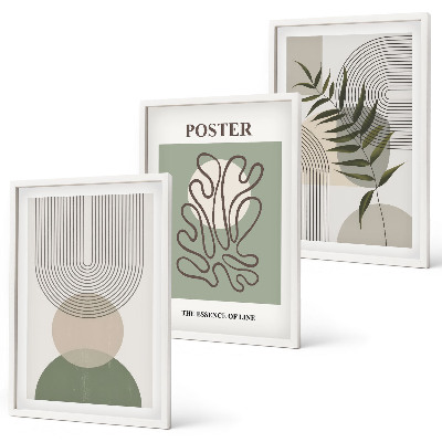 Set di 3 quadri Motivi botanici geometrici