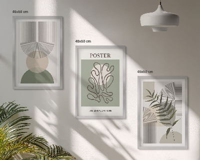 Set di 3 quadri Motivi botanici geometrici