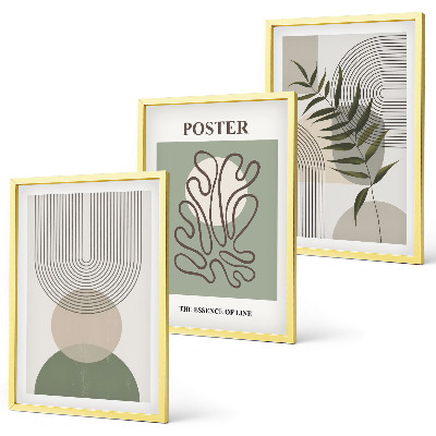Set di 3 quadri Motivi botanici geometrici