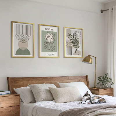 Set di 3 quadri Motivi botanici geometrici