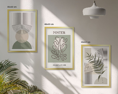 Set di 3 quadri Motivi botanici geometrici