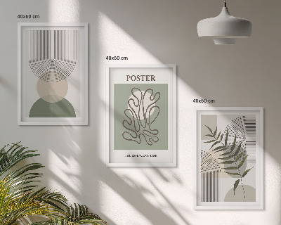 Set di 3 quadri Motivi botanici geometrici