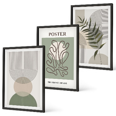 Set di 3 quadri Motivi botanici geometrici