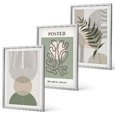 Set di 3 quadri Motivi botanici geometrici