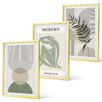 Composizione di quadri Eleganti grafiche vegetali