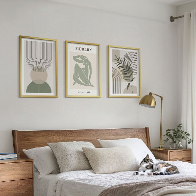 Composizione di quadri Eleganti grafiche vegetali