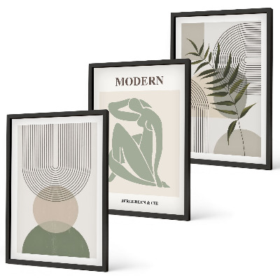 Composizione di quadri Eleganti grafiche vegetali