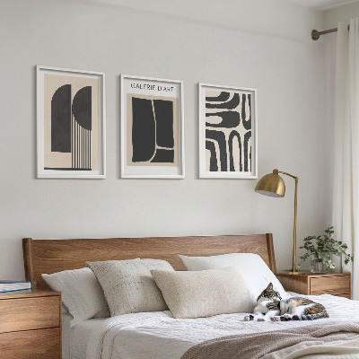 Set di 3 quadri Poster astratti minimalisti