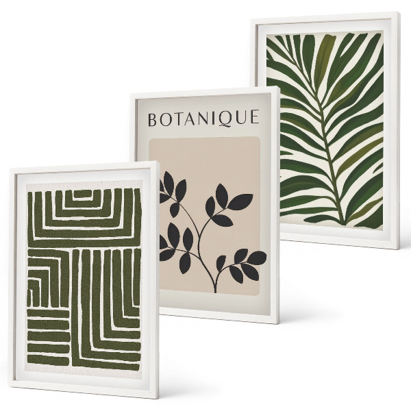 Composizione di quadri minimalismo bohémien botanico