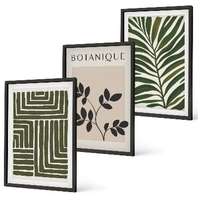 Composizione di quadri minimalismo bohémien botanico