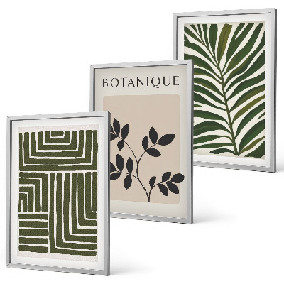 Composizione di quadri minimalismo bohémien botanico