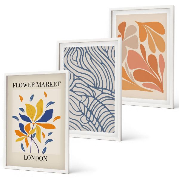 Set di 3 quadri Fiori moderni di cacao