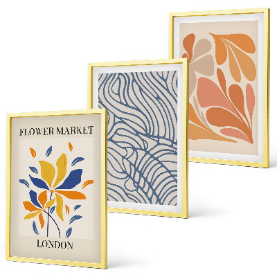 Set di 3 quadri Fiori moderni di cacao