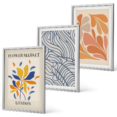 Set di 3 quadri Fiori moderni di cacao